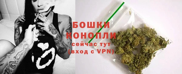Альфа ПВП Белокуриха