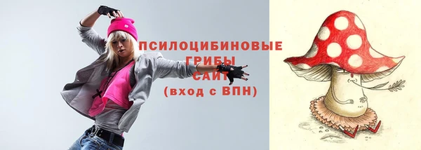 Альфа ПВП Белокуриха