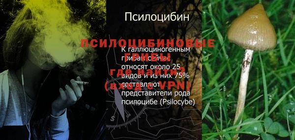спайс Белоозёрский