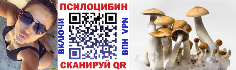 Псилоцибиновые грибы Psilocybine cubensis  Хвалынск 